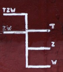 tzw.jpg