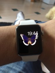 ImageUploadedByApfeltalk1431020758.671957.jpg