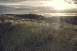 Balmedie_Beach_small.jpg