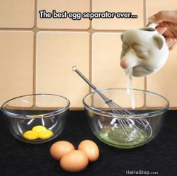Cool_Egg_Separator.jpg
