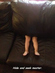 Hide_And_Seek_Master.jpg