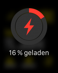 IMG_3807.PNG