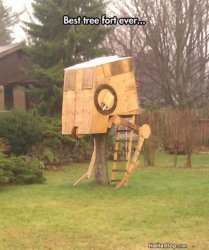 Cool_Tree_Fort.jpg