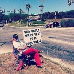 Sea_World.jpg