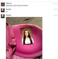 pic_bra.jpg