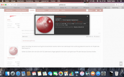 Bildschirmfoto 2015-07-04 um 07.58.30.png