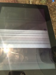 ImageUploadedByApfeltalk1436180416.723139.jpg