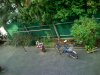 IMG_0019.jpg