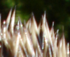 at.png