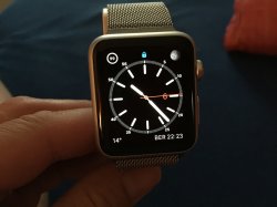 IMG_1109.jpg