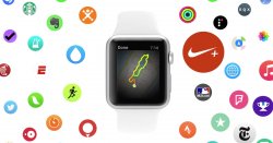 apple watch fitnes.jpg