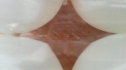20150924_150457.jpg