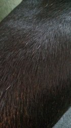 20151007_143042.jpg