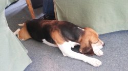 20151007_143117.jpg