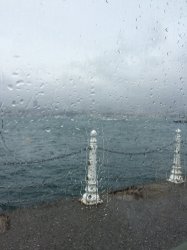 IMG_5023.JPG