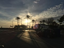 ImageUploadedByApfeltalk1444563893.702764.jpg