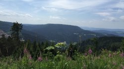 IMG_2045.JPG