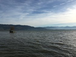 IMG_0187.JPG
