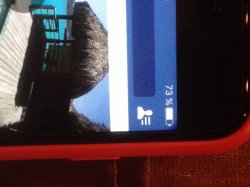 ImageUploadedByApfeltalk1450641074.019049.jpg