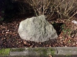IMG_0019.jpg