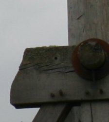 IMG_3809 Kopie.JPG