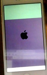 WIN_20160122_20_24_53_Pro.jpg