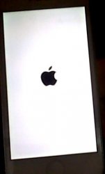 WIN_20160122_20_25_06_Pro.jpg