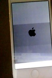 WIN_20160122_20_25_17_Pro.jpg