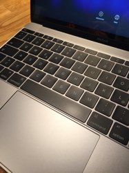 ImageUploadedByApfeltalk1458920214.425198.jpg