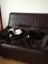 IMG_0013.JPG