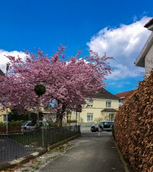 20160409_©MichaelTörner_IMG_0035.jpg