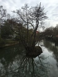 IMG_0493.JPG