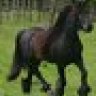 GreatBlackHorse