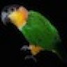 caique2001