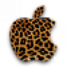 MacBee