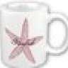 Starfish.Coffee