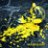 Liquiid