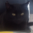 turbolaus