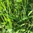 trecker_23