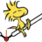 dtp