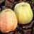 JumpinJack-