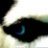 HuskyX