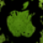 PowerApple