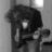 thibault