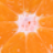 zimmermann