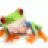 CaroK