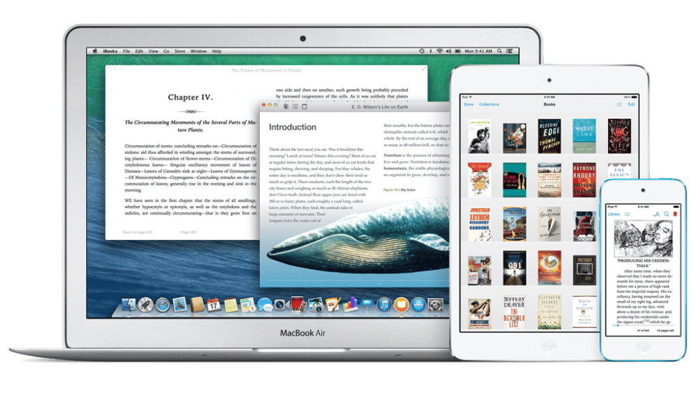 E-Book-Klage: Oberster Gerichtshof weist Apples Berufung zurück