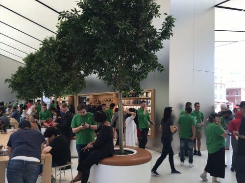 Viel Grün im neuen Flagship Store von Apple an der so genannten Avenue.