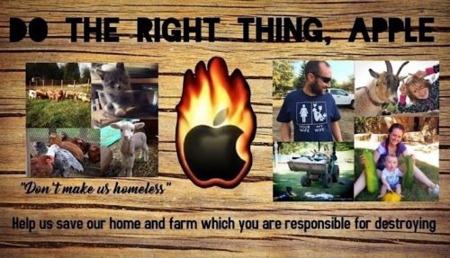 Nach angeblichem iPhone Brand: Petition soll Apple zu Hilfe zwingen