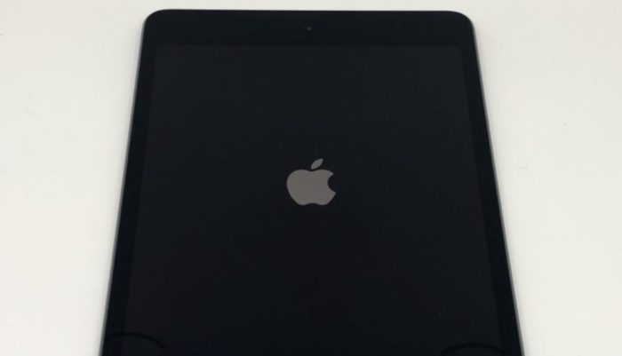 iPad-Mini-5-Cover-700x401.jpeg